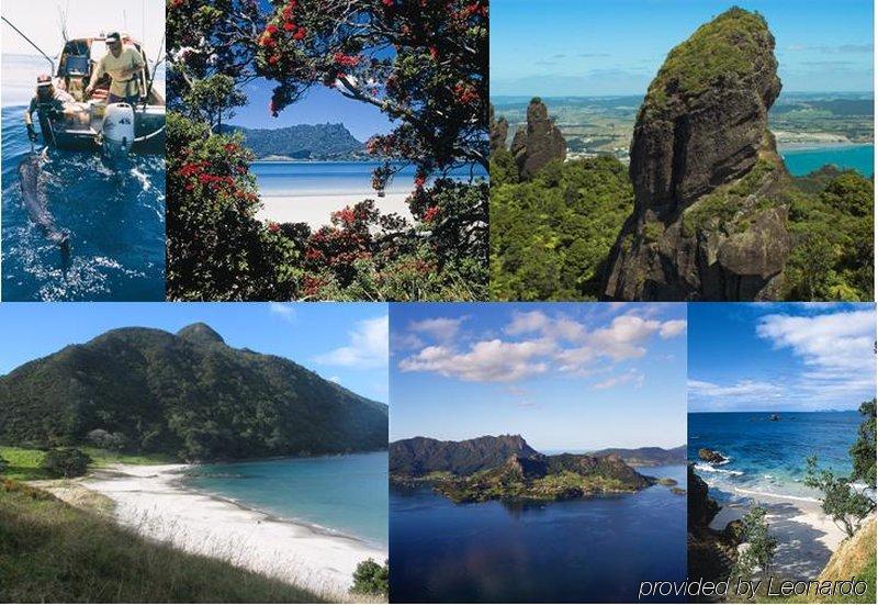 Cherry Court Motor Lodge Whangarei Luaran gambar